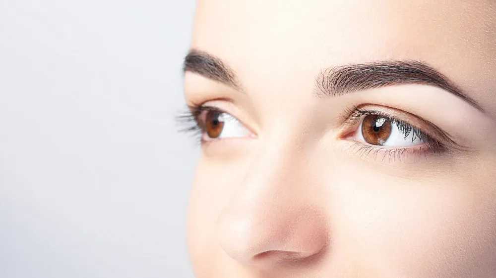 regard-sourcils